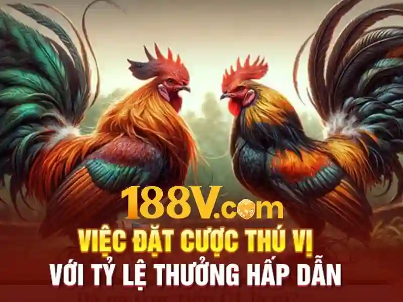  188V trực tuyến - 188V - allstatestermite.com